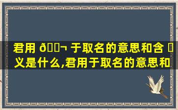 君用 🐬 于取名的意思和含 ☘ 义是什么,君用于取名的意思和含义是什么意思